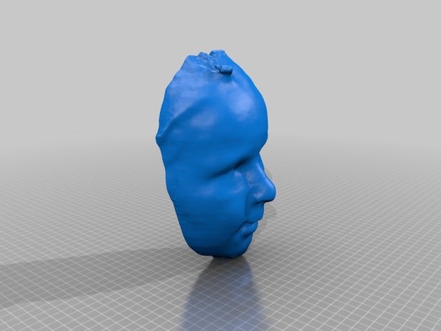 sarah insanlar 3D print model - Mito3D