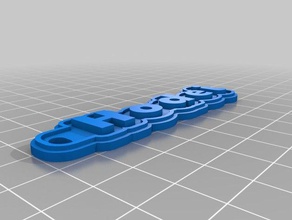 hodei my customized multiline tag keychain keychains 3d print model - Mito3D
