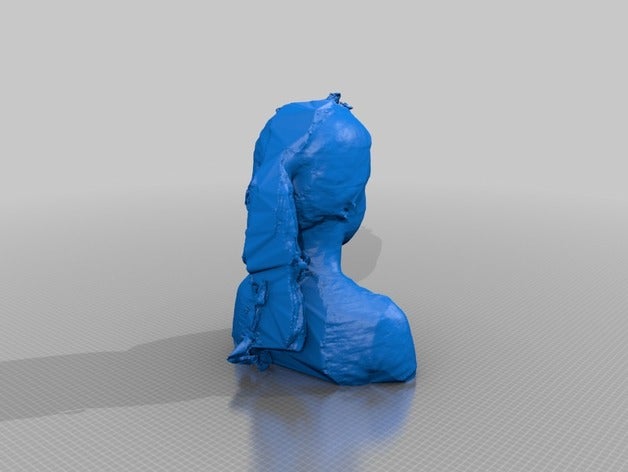 nia persone 3D print model - Mito3D