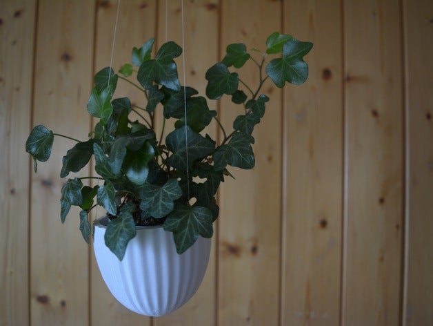 vaso decoração a flutuante flor de flores o voando 3D print model - Mito3D