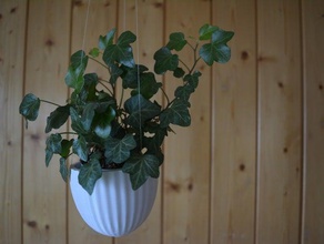 il vaso arredamento la decorazione galleggianti galleggiante fiore di fiori volo 3d print model - Mito3D