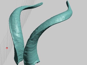 real evil satan goat horns high resolution scans replicas 3d scan animal animals demon devil 3d print model - Mito3D