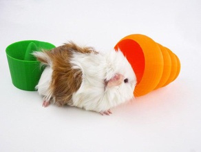 guinea pig carrot toy pets container guineapig rodent vegetable 3d print model - Mito3D