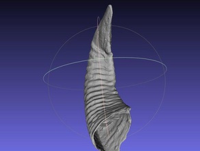 real de ovinos chifres satanás procura alta resolução digitalização varreduras réplicas animais osso demônio ritual esqueleto 3d print model - Mito3D