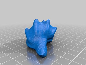 digitalizado concha de mar scans e réplicas 3d print model - Mito3D