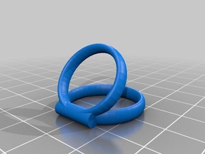 tomas de doble articulado dedo llave los anillos personalizado 3d print model - Mito3D
