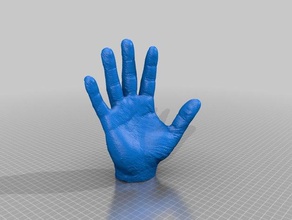 hand people anatomy 3d print model - Mito3D