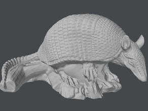 armadillo scans replicas 3d scan animal autodesk remake creature model mustang dave mustangdave sculpture 3d print model - Mito3D