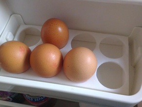 semplice uovo titolare cucina pranzo 3d print model - Mito3D