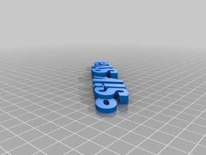 meine angepasste iamburnystext name keyring keyfob Organisation 3d print model - Mito3D