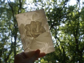camellia more-than-a-lithophane 2d art flower mothers day raised relief valentines 3d print model - Mito3D