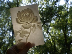 rose more-than-a-lithophane 2d art flower meshmixer mothers day raised relief valentines 3d print model - Mito3D