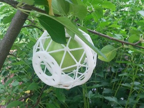 la fruta en jaula proteger maduración de apple al aire libre y jardín 3d print model - Mito3D