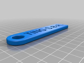 ting sbr clé de la chaîne accessoires personnalisé 3d print model - Mito3D