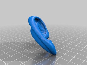 human right ear scans replicas 3d print model - Mito3D