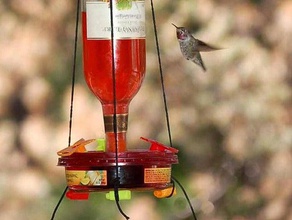 hummingbird feeder sport outdoors 3d print model - Mito3D