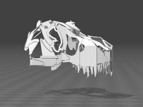 t-rex de la cabeza 3d impresión dino dinosaurio tyrannosaurus el rex 3d print model - Mito3D