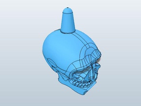 la pêche bobber crâne 3d de l'impression L'imprimante L'impression slash 3d print model - Mito3D