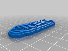 my customized multiline tag keychain terry keychains 3d print model - Mito3D