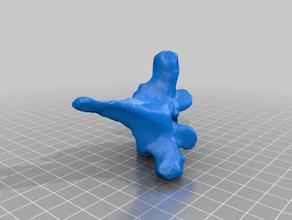 humanos vértebra varreduras réplicas makerbotdigitizer 3d print model - Mito3D