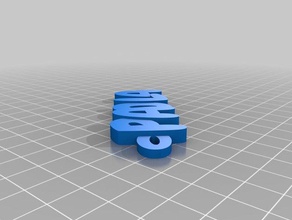 paola de l'organisation personnalisé 3d print model - Mito3D