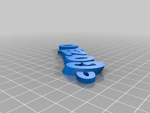 meine angepasste iamburnystext name keyring keyfob Organisation 3d print model - Mito3D