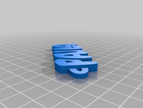 paula organizasyon özelleştirilmiş 3d print model - Mito3D