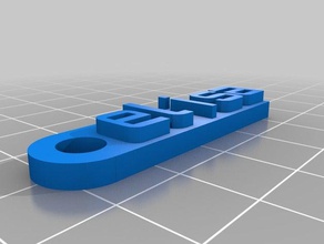 elisa organizasyon özelleştirilmiş 3d print model - Mito3D