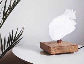 low poly anatomical heart lamp decor 3d print model - Mito3D