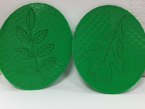 leaf identification lesson biology mbmakeathon scienceproject 3d print model - Mito3D