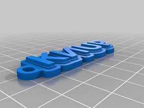 llavero knup Anahtarlık özelleştirilmiş 3d print model - Mito3D