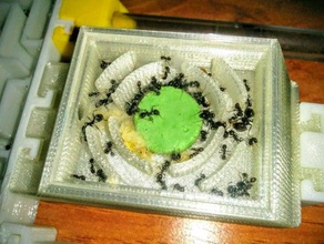 formicarium único cogumelo do sistema de rega animais estimação 3d print model - Mito3D