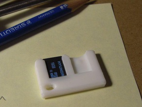çift 2 GB pastil bilgisayar Anahtarlık microsd sahibi sdram 3d print model - Mito3D