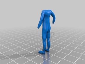 pieds, jambes, torse, bras personnes corps l'homme 3d print model - Mito3D