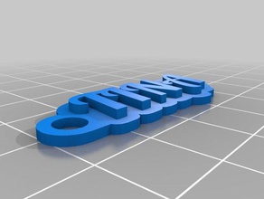 tina llaveros personalizado 3d print model - Mito3D
