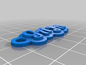 gaja keychains customized 3d print model - Mito3D