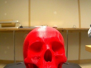 scan skull demo scans replicas makerbotdigitizer 3d print model - Mito3D