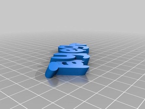 tayleigh llavero organización personalizado 3d print model - Mito3D