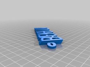 13 organização personalizado 3d print model - Mito3D