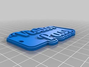 visitor pass keychains customized 3d print model - Mito3D