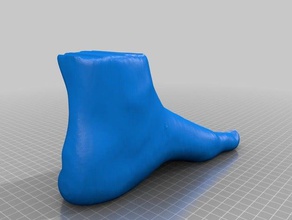 el pie izquierdo exploraciones réplicas 3d print model - Mito3D