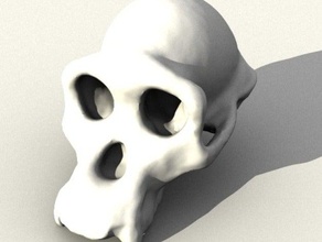 şempanze kafatası biyoloji anatomi kemik evrim maymun 3d print model - Mito3D