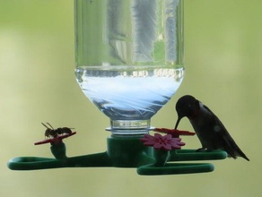colibri chargeur perche sport à l'extérieur abeille nourrisseur de l'abeille des abeilles birdfeeder les oiseaux 3d print model - Mito3D