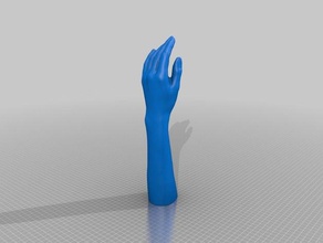 scans mains people hand 3d print model - Mito3D