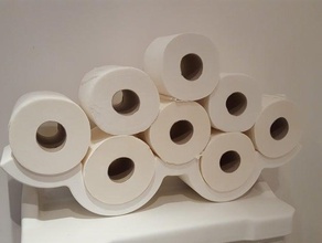 toilet roll cloud bathroom paper holder 3d print model - Mito3D