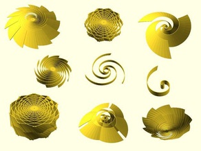 espiral dourada gerador matemática a arte montanha-russa educação fibonacci de razão áurea openscad shell 3d print model - Mito3D