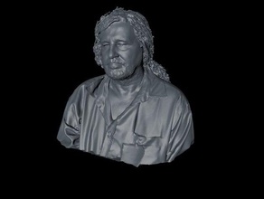 digitalizado retrato varreduras réplicas buste robertus keers robotlab 3d print model - Mito3D