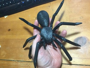 articulado de la tarántula a los animales araña 3d print model - Mito3D