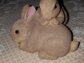 taranan tavşan figürü hayvanlar bunnies bunny hare 3d print model - Mito3D
