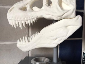 t-rex lâmpada de mesa do agregado familiar desklamp dinossauro a cabeça diodo emissor luz led 3w crânio 3d print model - Mito3D